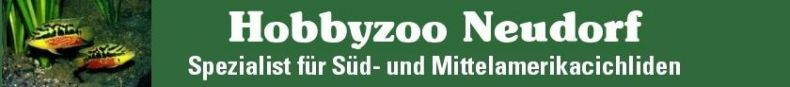 Hobbyzoo Tillmann - Ihr Spezialist für Buntbarsche aus Mittel- und Südmerika in Duisburg
